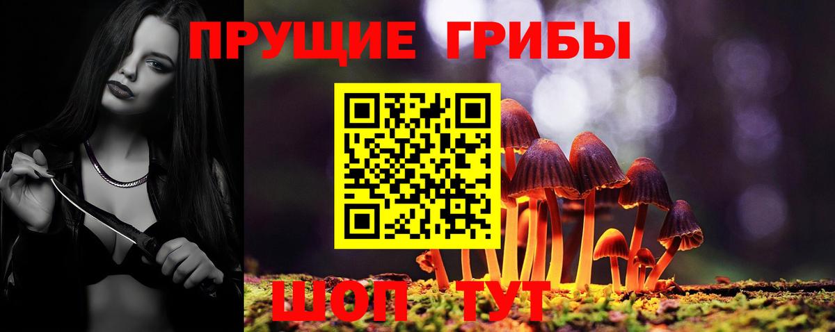 Галлюциногенные грибы мухоморы  Галлюциногенные грибы Cubensis  Вышний Волочёк  Вход с VPN 